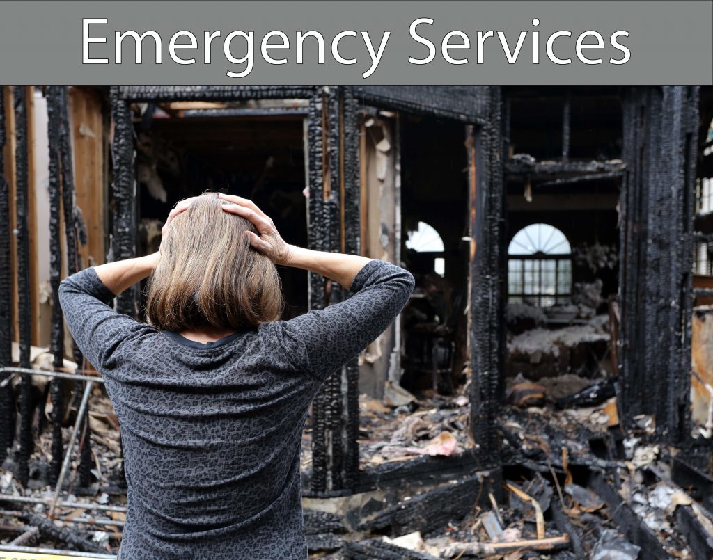 emegserv-thumbnail-1-1024x805.jpg